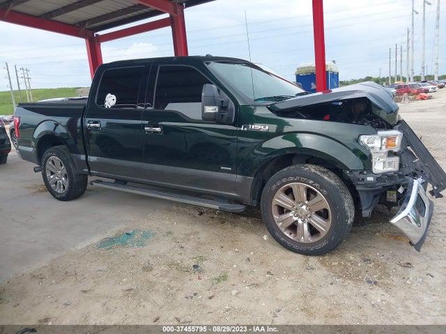 Ford F-150 Xl/lariat/xlt 2015 1FTEW1CP0FFC71021 Image 13