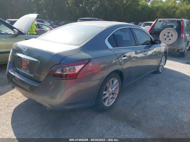 1N4AA5APXEC436523 Nissan Maxima 3.5 S