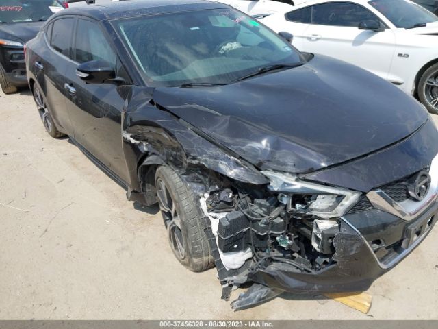 1N4AA6AP1HC365691 Nissan Maxima Platinum