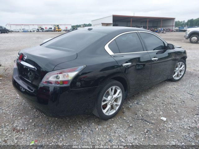 1N4AA5AP1EC906616 Nissan Maxima 3.5 Sv