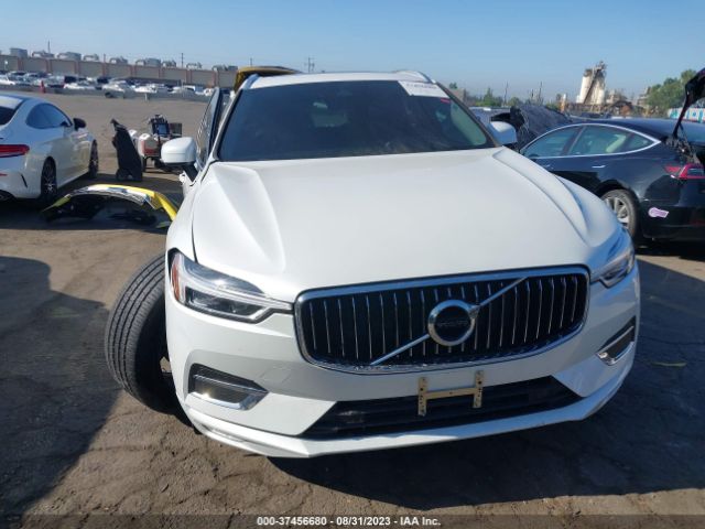 LYV102DL8KB231139 Volvo Xc60 Inscription