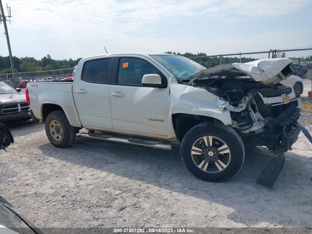 Chevrolet Colorado Wt 2018 1GCGTBEN8J1227504 Image 13