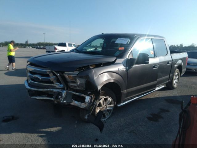 1FTEW1C89GFA17608 Ford F-150 Xlt/xl