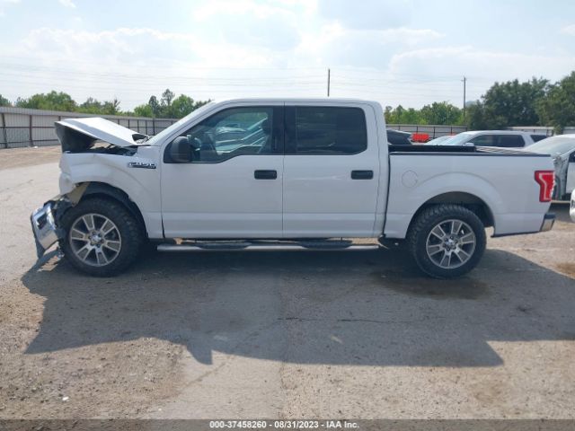 1FTEW1C85HKC36381 Ford F-150 Xl/xlt