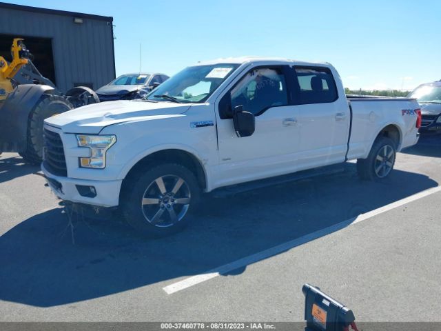 1FTFW1EG7FFC51916 Ford F-150 Xlt W