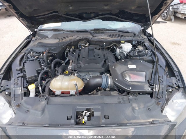 2019 FORD MUSTANG ECOBOOST VIN: 1FA6P8TH7K5125174