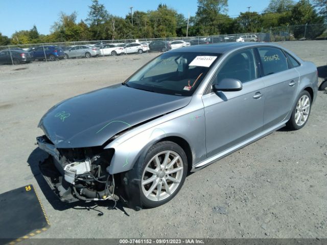 WAUFFAFL9FN013287 Audi A4 Premium Plus