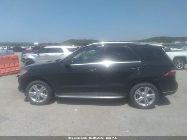 4JGDA5HB1FA605807 Mercedes-Benz M-class Ml 350
