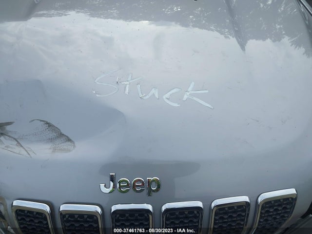 2020 JEEP CHEROKEE LIMITED VIN: 1C4PJLDB2LD628096