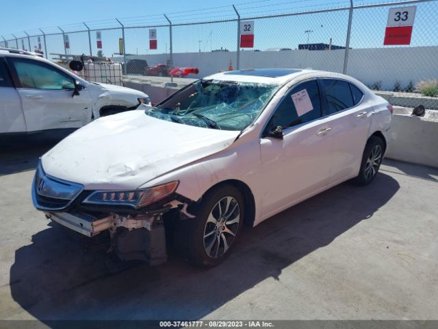 19UUB1F3XHA001523 Acura TLX