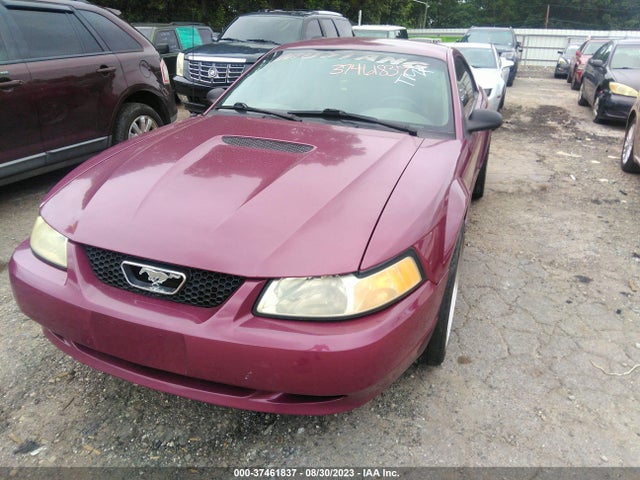 2000 FORD MUSTANG GT VIN: 1FAFP42X6YF171552
