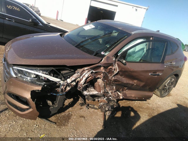 Hyundai Tucson Limited 2016 KM8J33A2XGU152606 Image 6