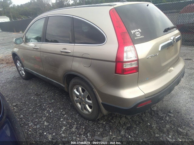 2009 HONDA CR-V EX-L VIN: 5J6RE38759L004076