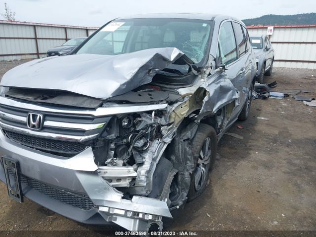 5FNYF6H54JB043439 Honda Pilot Ex-l