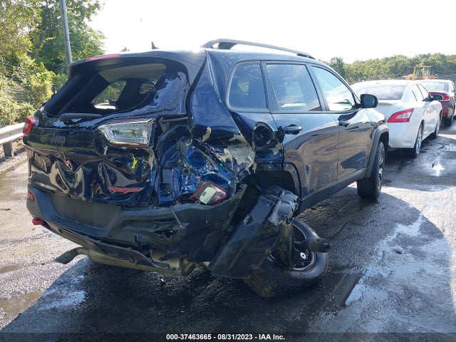 1C4PJMBS0GW176409 Jeep Cherokee Trailhawk