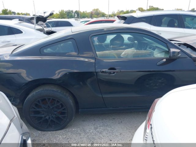1ZVBP8AM7E5264814 Ford Mustang V6