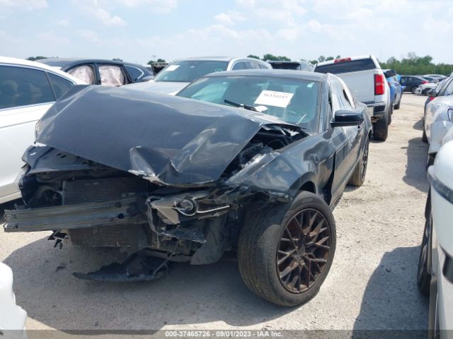1ZVBP8AM7E5264814 Ford Mustang V6