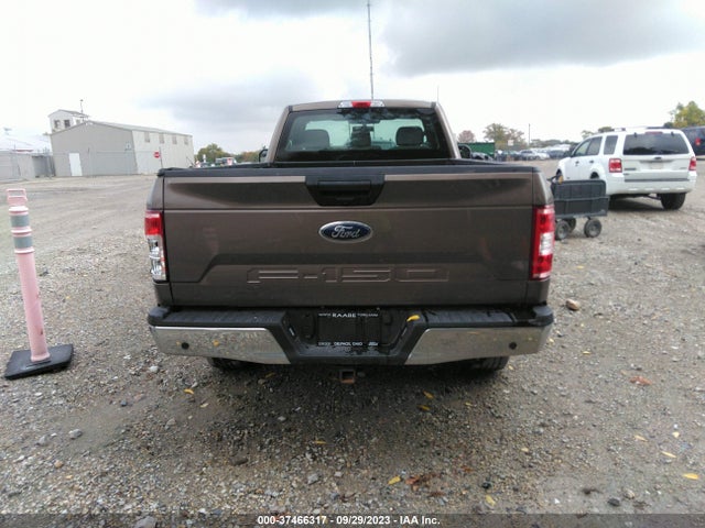 2019 FORD F-150 XL/XLT VIN: 1FTMF1EB5KKE58804