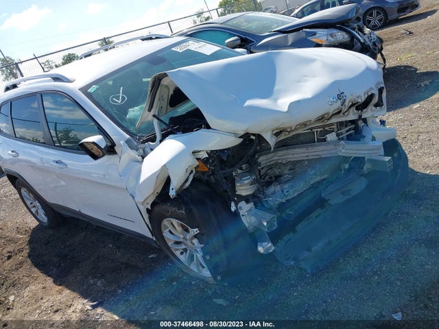 2020 1C4PJLCB4LD507541 main image