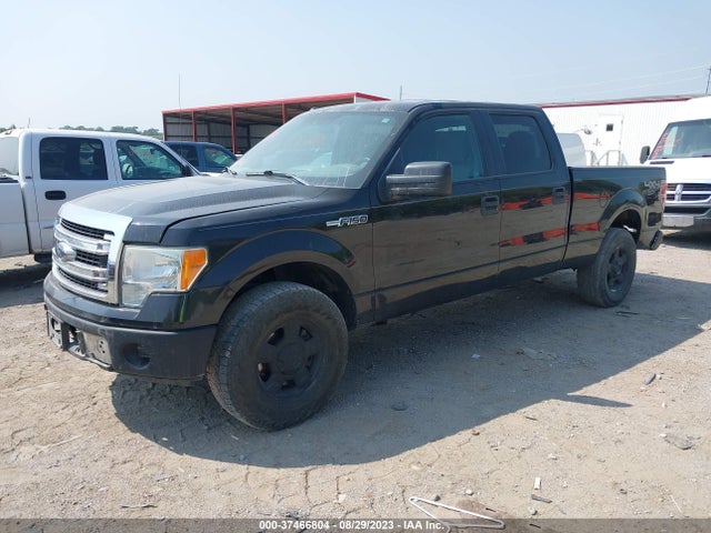Ford F-150 Xlt 2014 1FTFW1EF2EFC55538 Image 2