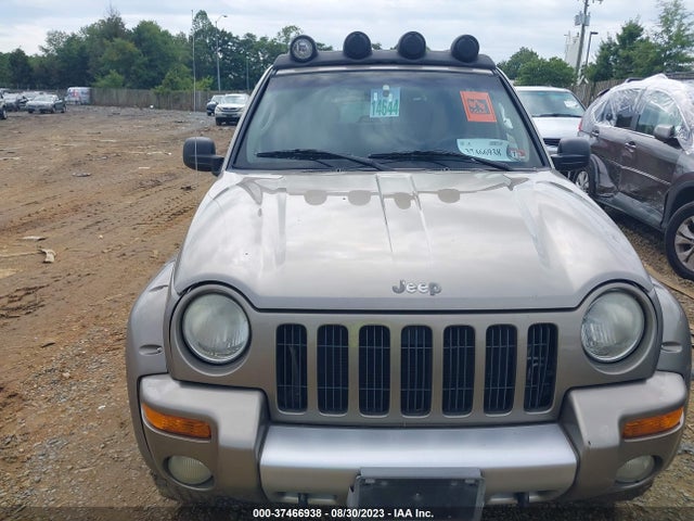 2002 JEEP LIBERTY RENEGADE VIN: 1J8GL38KX2W366750
