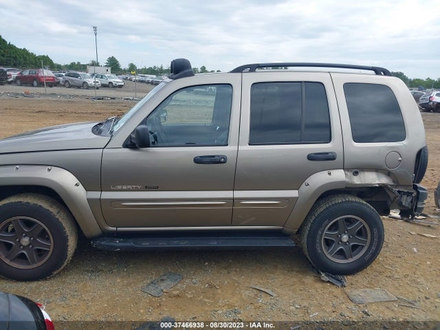 2002 JEEP LIBERTY RENEGADE VIN: 1J8GL38KX2W366750