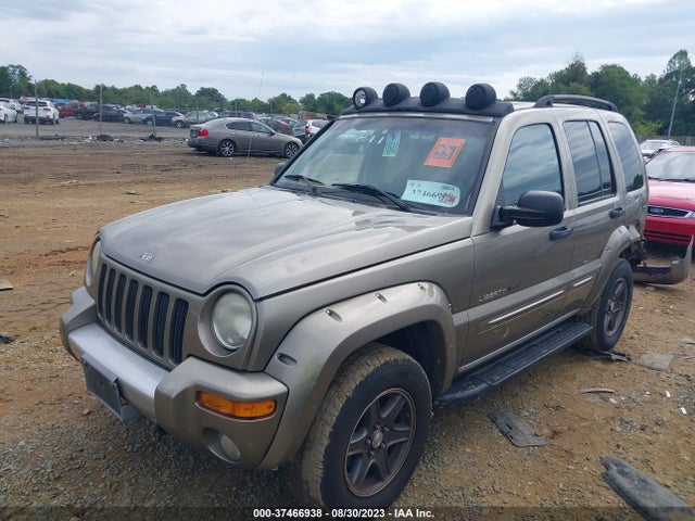 2002 JEEP LIBERTY RENEGADE VIN: 1J8GL38KX2W366750