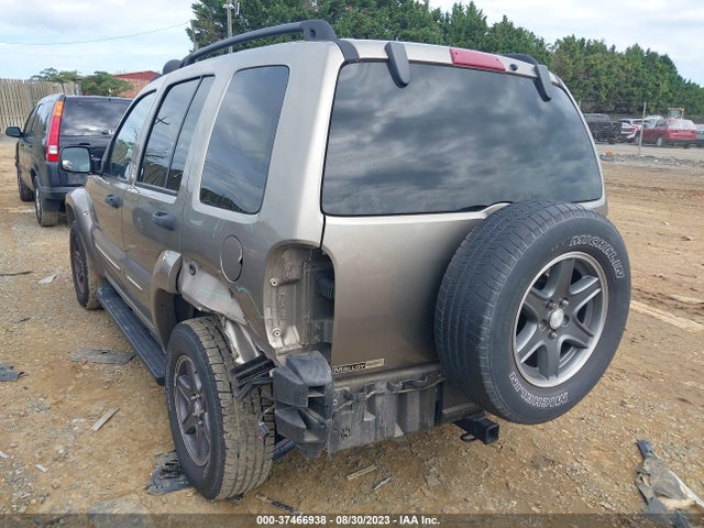 2002 JEEP LIBERTY RENEGADE VIN: 1J8GL38KX2W366750