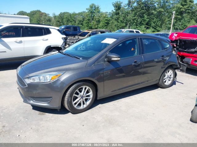 1FADP3K27FL291154 Ford FOCUS SE