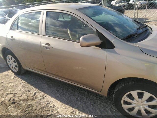 2010 TOYOTA COROLLA VIN: 2T1BU4EEXAC275715