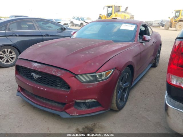 1FA6P8AM5F5305176 Ford Mustang V6