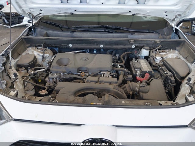 2019 TOYOTA RAV4 XLE VIN: 2T3P1RFV5KC013748