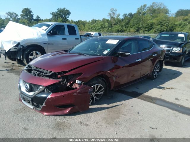 1N4AA6AP8HC449846 Nissan MAXIMA SL