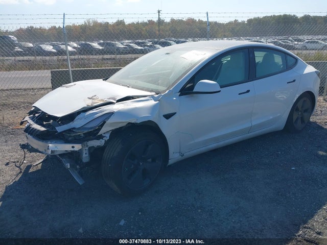 Tesla MODEL 3 2023 5YJ3E1EA6PF422601 Image 2