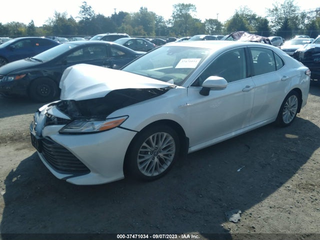 2019 TOYOTA CAMRY HYBRID VIN: 4T1B21HK5KU511192