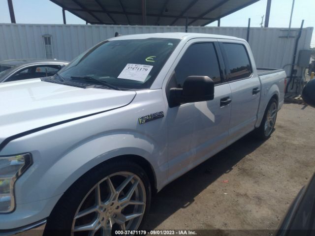 1FTEW1C43LFA25341 Ford F-150 Xl/xlt/lariat