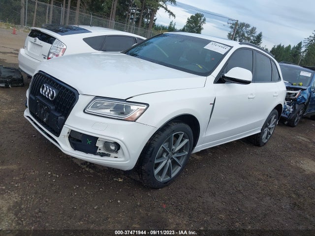 WA1DVAFP3GA041685 Audi Q5 Premium Plus