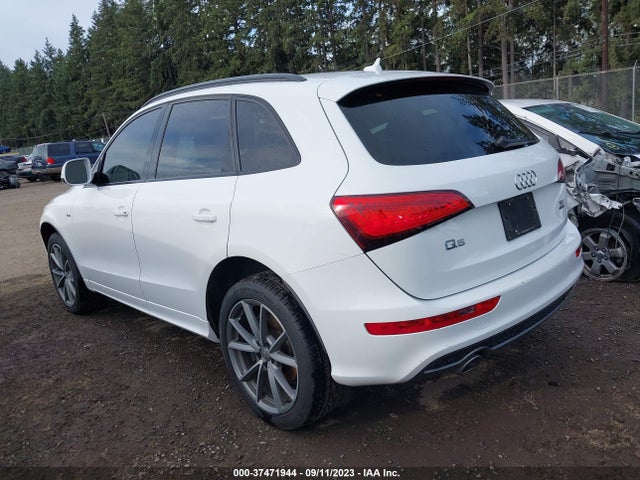 WA1DVAFP3GA041685 Audi Q5 Premium Plus