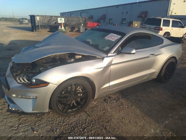 Ford Mustang Ecoboost 2019 1FA6P8TH2K5178199 Image 2