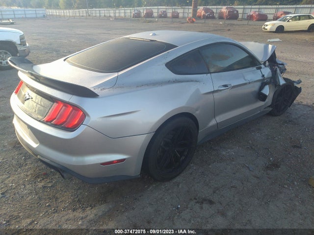 Ford Mustang Ecoboost 2019 1FA6P8TH2K5178199 Image 4