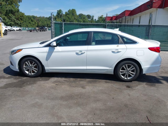 Hyundai Sonata 2.4l Se 2016 5NPE24AFXGH397112 Image 13