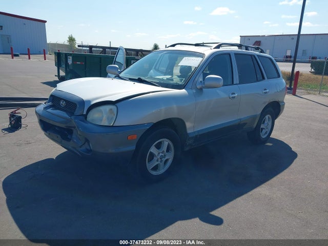 2004 HYUNDAI SANTA FE GLS/LX VIN: KM8SC73E54U830502
