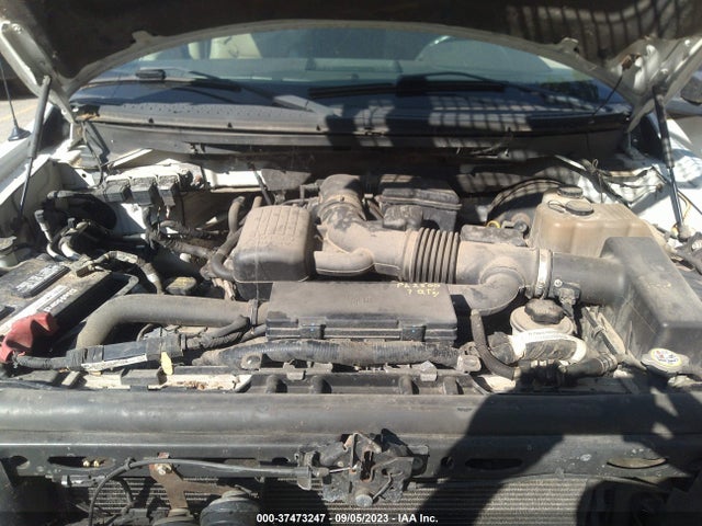 2009 FORD F-150 XL/XLT/FX4/LARIAT VIN: 1FTPW14V69FA39193