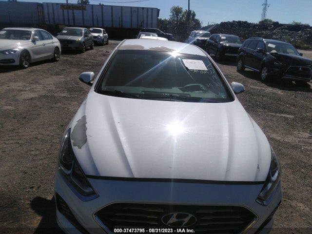 Hyundai SONATA SEL 2018 5NPE34AF4JH660036 Image 11