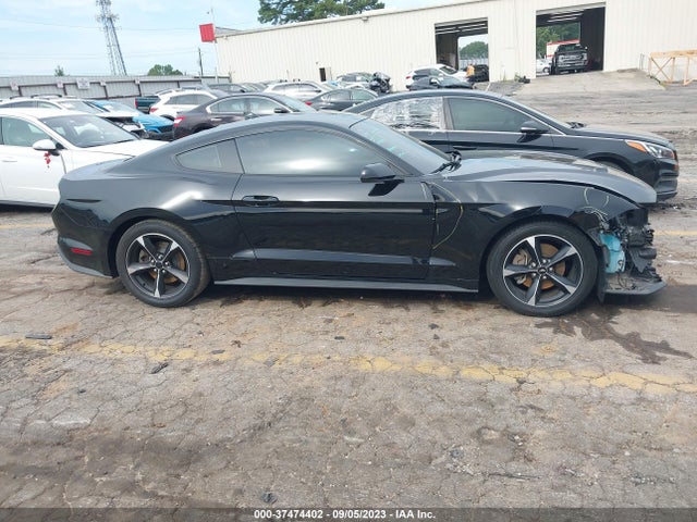 Ford Mustang Ecoboost 2020 1FA6P8TH4L5159297 Image 13