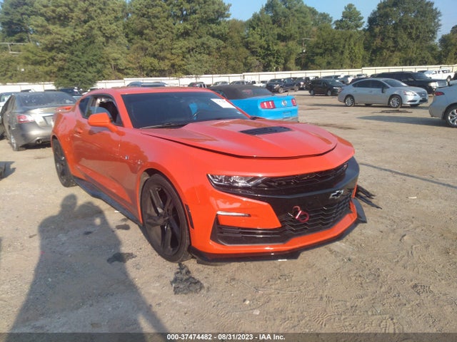 2019 1G1FG1R74K0103879 главное изображение