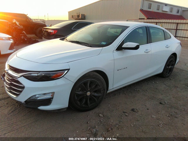 Chevrolet MALIBU LT 2019 1G1ZD5STXKF200831 Image 2