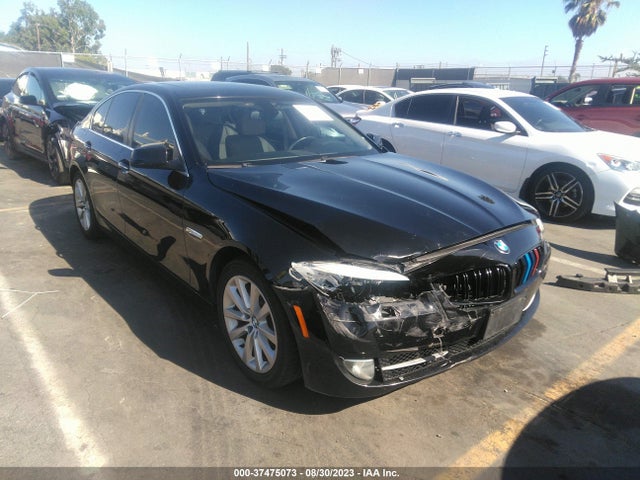 2013 BMW 5 SERIES 528I XDRIVE VIN: WBAXH5C51DD109199