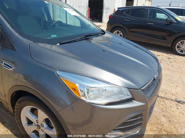 Ford ESCAPE SE 2014 1FMCU0GX8EUC92237 Image 6