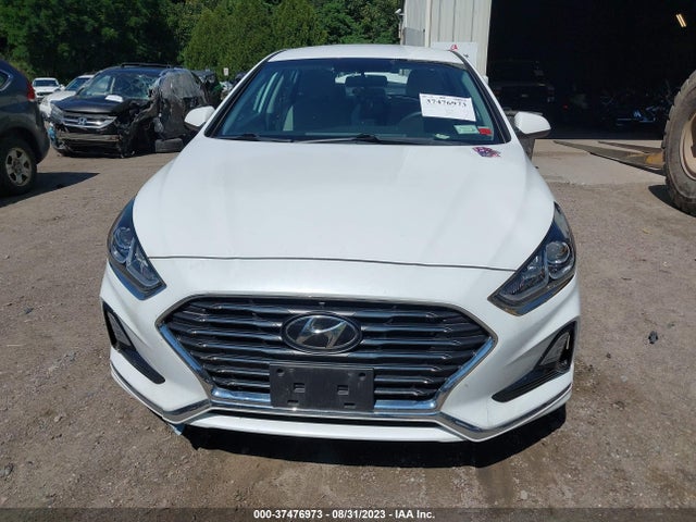 Hyundai SONATA SE 2019 5NPE24AF6KH785673 Image 12